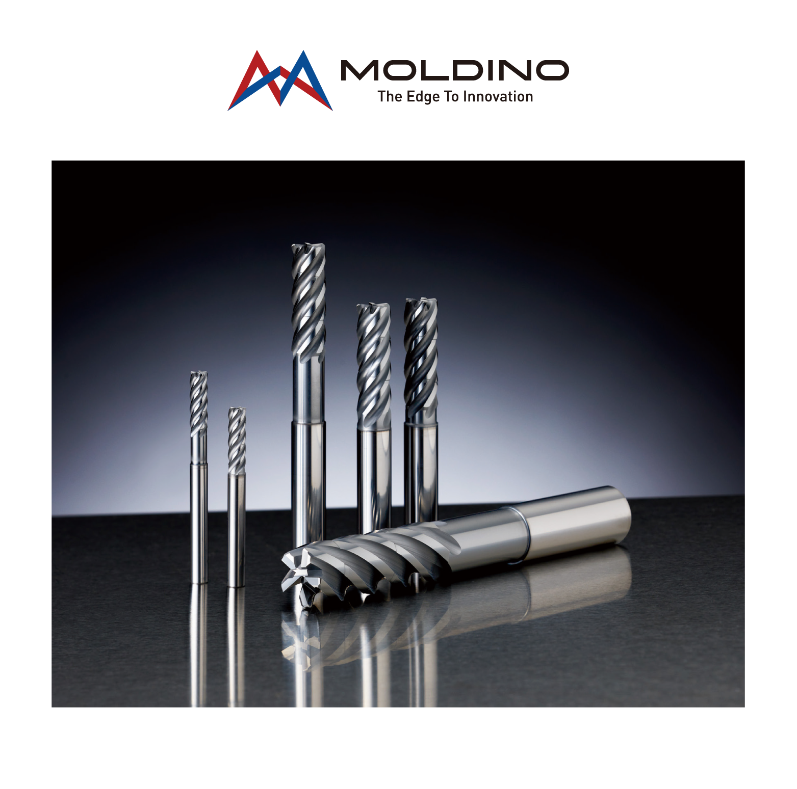 セレシナ 株式会社MOLDINO